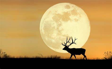full moon july 2023 buck moon